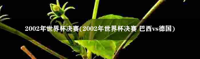 2002年世界杯决赛(2002年世界杯决赛 巴西vs德国)