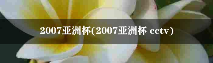 2007亚洲杯(2007亚洲杯 cctv)