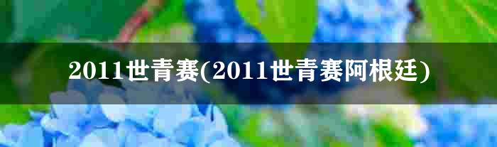 2011世青赛(2011世青赛阿根廷)