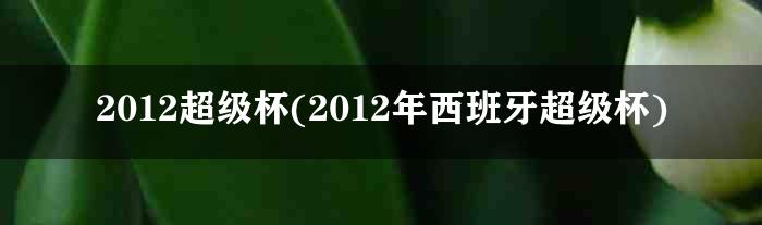 2012超级杯(2012年西班牙超级杯)