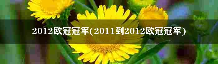 2012欧冠冠军(2011到2012欧冠冠军)