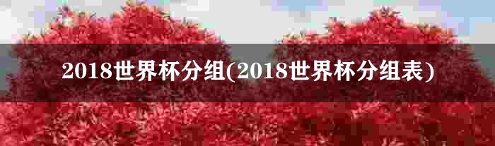 2018世界杯分组(2018世界杯分组表)