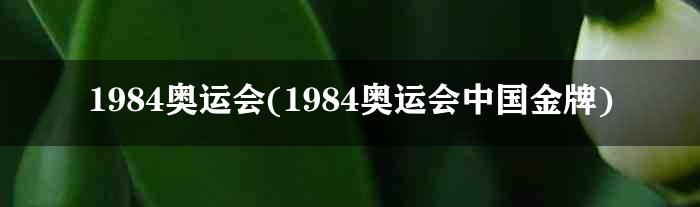 1984奥运会(1984奥运会中国金牌)