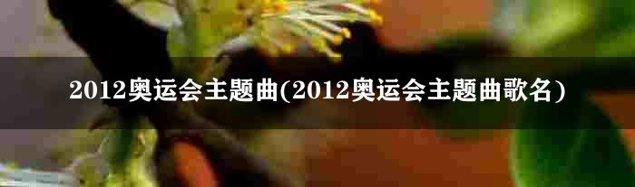 2012奥运会主题曲(2012奥运会主题曲歌名)