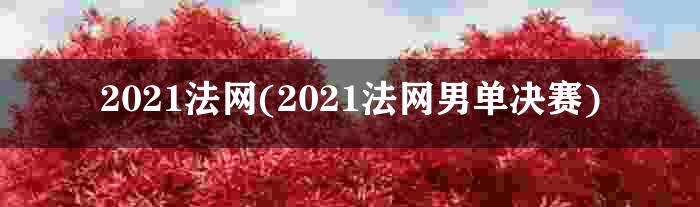 2021法网(2021法网男单决赛)