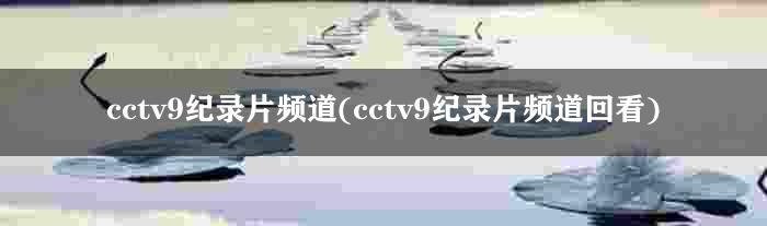 cctv9纪录片频道(cctv9纪录片频道回看)