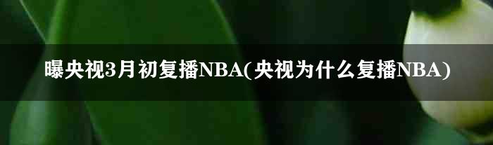 曝央视3月初复播NBA(央视为什么复播NBA)