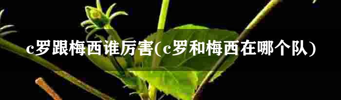 c罗跟梅西谁厉害(c罗和梅西在哪个队)