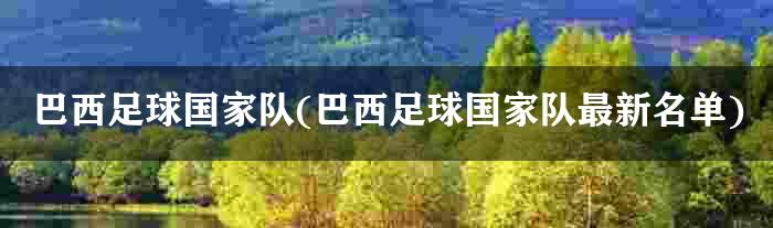 巴西足球国家队(巴西足球国家队最新名单)