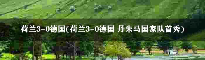 荷兰3-0德国(荷兰3-0德国 丹朱马国家队首秀)