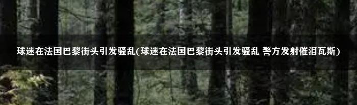 球迷在法国巴黎街头引发骚乱(球迷在法国巴黎街头引发骚乱 警方发射催泪瓦斯)