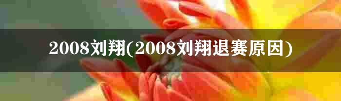 2008刘翔(2008刘翔退赛原因)