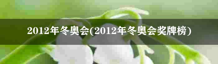 2012年冬奥会(2012年冬奥会奖牌榜)