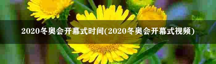 2020冬奥会开幕式时间(2020冬奥会开幕式视频)