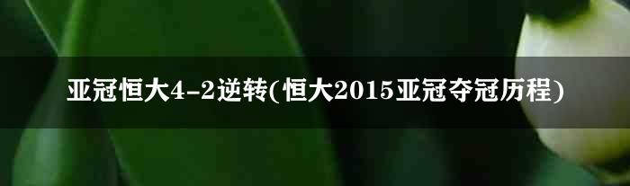 亚冠恒大4-2逆转(恒大2015亚冠夺冠历程)