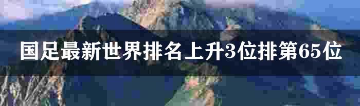 国足最新世界排名上升3位排第65位