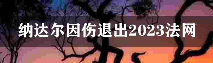 纳达尔因伤退出2023法网