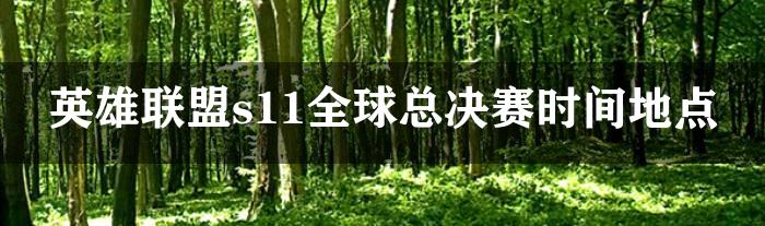 英雄联盟s11全球总决赛时间地点