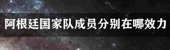 阿根廷国家队成员分别在哪效力