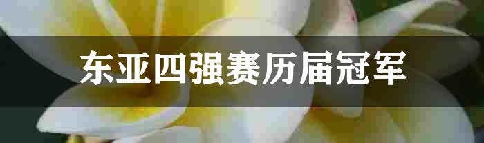 东亚四强赛历届冠军