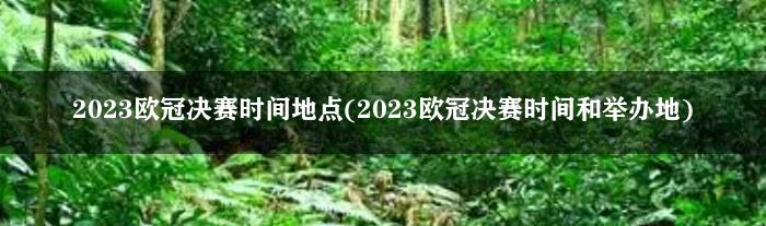 2023欧冠决赛时间地点(2023欧冠决赛时间和举办地)