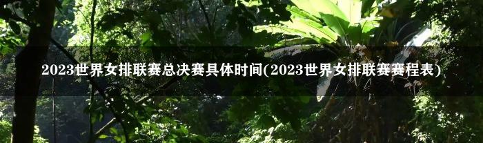 2023世界女排联赛总决赛具体时间(2023世界女排联赛赛程表)