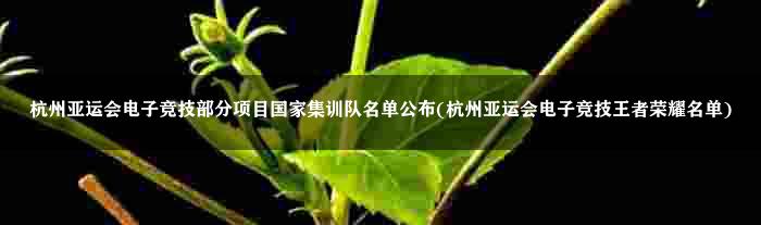 杭州亚运会电子竞技部分项目国家集训队名单公布(杭州亚运会电子竞技王者荣耀名单)