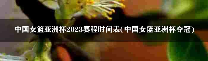中国女篮亚洲杯2023赛程时间表(中国女篮亚洲杯夺冠)