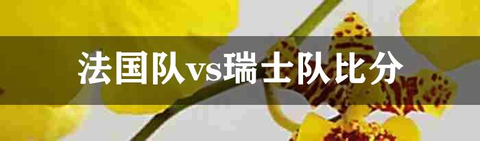 法国队vs瑞士队比分