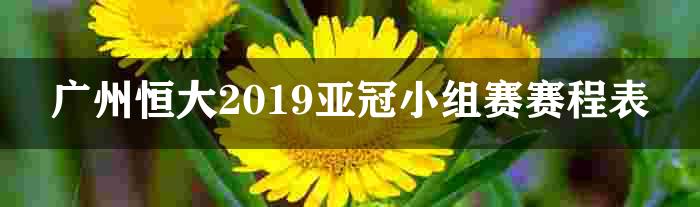 广州恒大2019亚冠小组赛赛程表