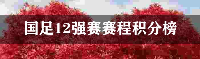 国足12强赛赛程积分榜